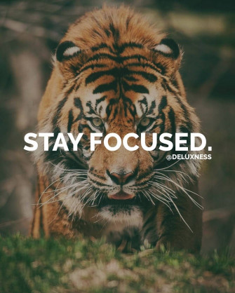 Instagram Post By Motivation Business Luxury Dec At