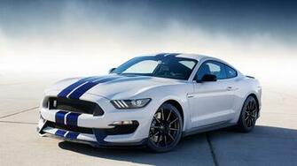 Shelby Gt350 Mustang Wallpaper HD