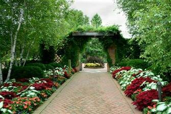 Pics Photos Beautiful Full HD Garden Background Wallpaper