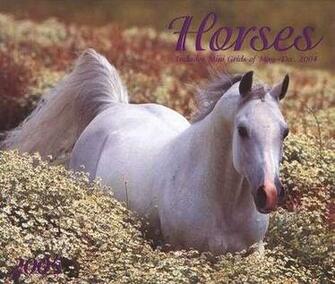 Wallpaper Funny Poetry Animals All In One