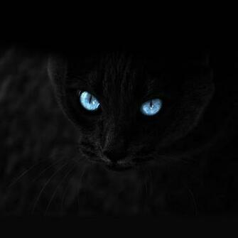 iPad Retina Wallpaper HD Ready Stunning
