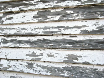 This Is The Ceiling In Horse Barn You Should See Beams