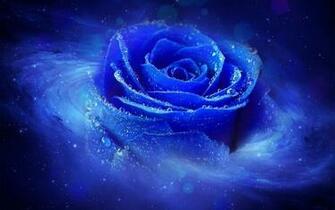 HD Cool 3d Blue Rose Desktop Wallpaper Background