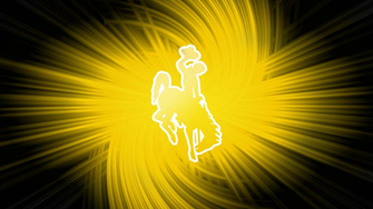 Wyoming Cowboys Cattelan Design