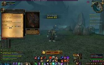 Feral Druid Wallpaper Acex The