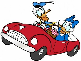 Duck Picture Donald Daisy Image Wallpaper