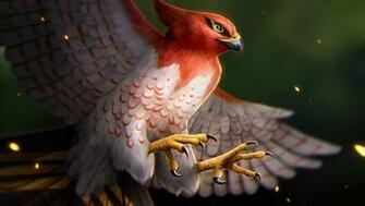 Talonflame Pokemon Laptop HD 4k Wallpaper Image