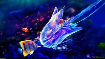 Home Abstract Colorful Jellyfish Wallpaper Widescreen