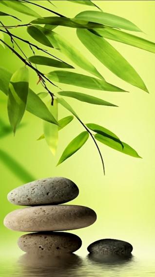 Related For Zen iPhone Wallpaper HD