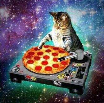 The Space Cats Account Is Greatest Thing Ever Pics