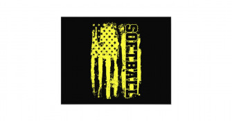 Softball American Flag Player Photo Print
