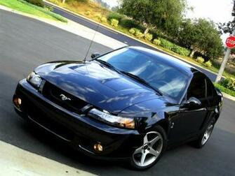Ford Mustang Svt Cobra Pictures Cargurus