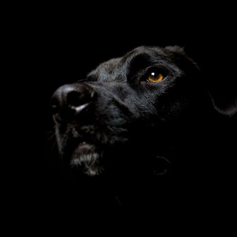 Dark iPad Wallpaper