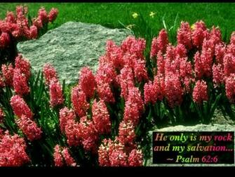 Spring With Bible Verses Scenic Reflections Another