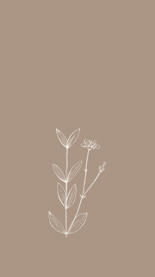 Aesthetic Phone Wallpaper For Spring The Violet Journal