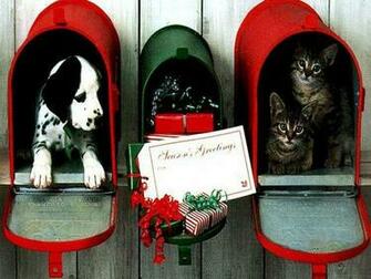Christmas Pets Photo