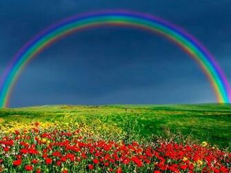 Paesaggio Con Arcobaleno E Tulipani Centumcellae