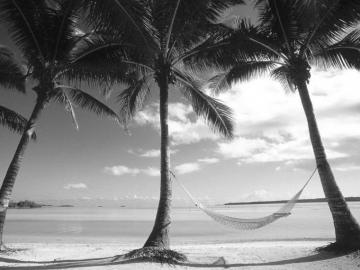 Black And White Wallpaper Beach