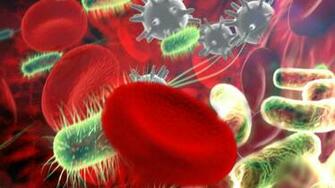 Deviantart More Like Biology Wallpaper By Picklenation