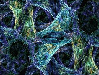 Cell Biology Wallpaper Bacteria Blue
