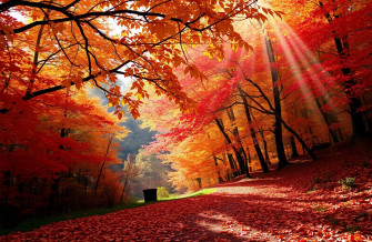 Autumn Wallpaper For iPad