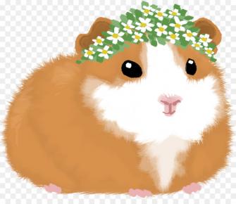Hamster Background Png Transparent