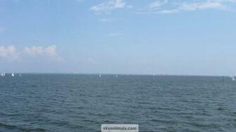 Chesapeake Bay Wallpaper Image