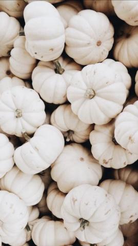 Aesthetic Fall iPhone Wallpaper You Need For Spooky Season