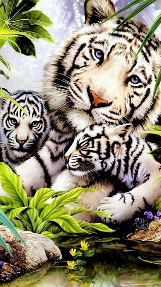 Aimee Beaird On Cute Cartoon Animals Animal Drawings