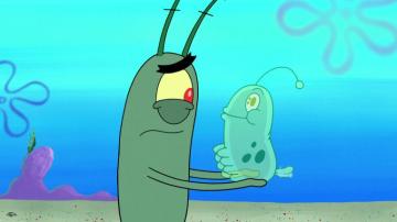Plankton Wallpaper Top Background