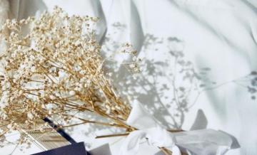 1k Dry Flower Pictures Image
