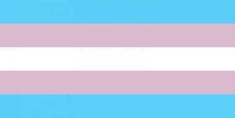 Transgender Flag Wallpaper