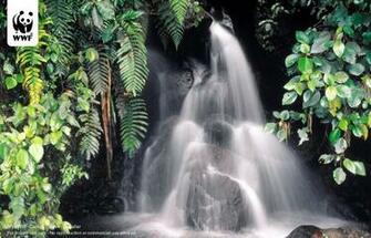 Waterfalls Nature Wallpaper Crazy Frankenstein