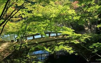 Japan Wallpaper Widescreen