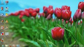 Windows Theme Flower Themes