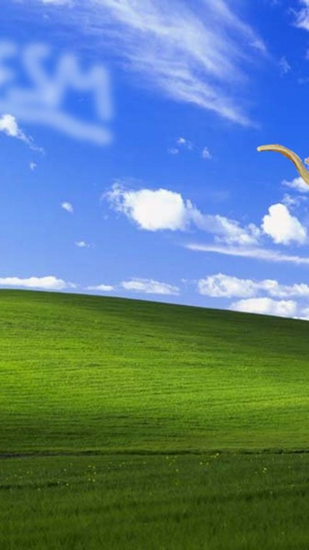 Flying Spaghetti Monster Windows Background Theme Mobile Resolutions