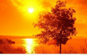 Hot Summer Day Background Wallpaper Jpg