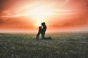 Wallpaper Dog Man Silhouette Scenic Sunset Grass