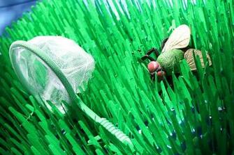 Pic New Posts Grass Mat Wallpaper