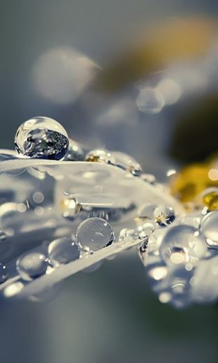 Blackberry Z10 Wallpaper