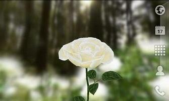 3d Rose Live Wallpaper Android Apps On Google Play