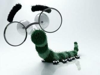 Funny HD Wallpaper Best