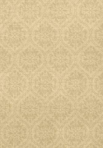 Factory Paint Decorating Thibaut Texture Resource Volume