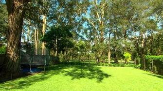Backyard Background All For You