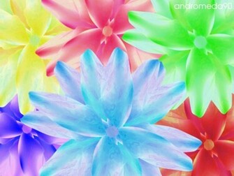 Bright Flower Wallpaper Corners