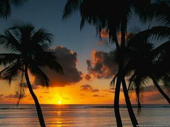 Desktop Wallpaper Other Background Afternoon Delight Tobago