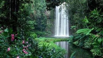 Forest Waterfall Wallpaper HD