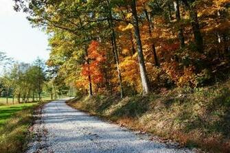 Southern Illinois Autumn Scenery Of Fall