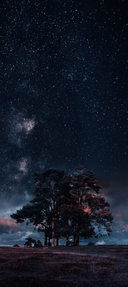 Starry Night Sky Wallpaper