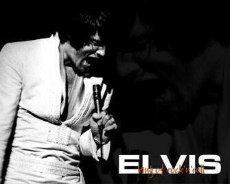 Elvis Presley Wallpaper